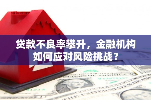 滨江贷款不良率攀升，金融机构如何应对风险挑战？