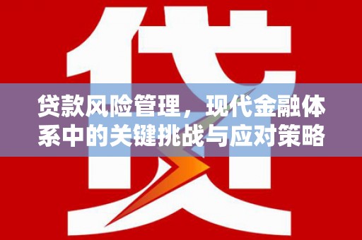 四湖贷款风险管理，现代金融体系中的关键挑战与应对策略