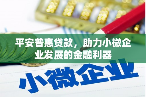 盐田平安普惠贷款，助力小微企业发展的金融利器